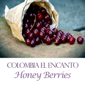 허니베리스 100g 엘엔칸토 허니베리스, 스페셜티원두 엘파라이소 ,딸기,스트로베리,무산소