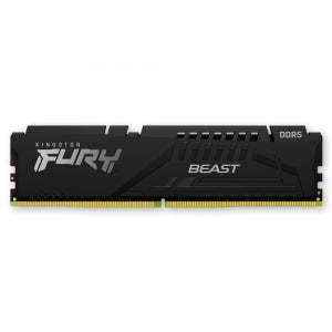 킹스톤 FURY DDR5-5600 CL36 Beast 블랙 코잇 (16GB)