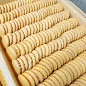 콩콩디저트 마카롱꼬끄 20개 샌드용 꼬끄 마카롱 만들기 대량 납품