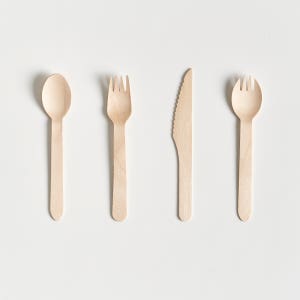 친환경 일회용스푼 일회용포크 나이프 커트러리 1BOX 대용량 카페 젤라또 아이스크림 디저트
