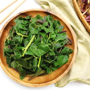 제철 산나물 갯방풍 데친 갯방풍 나물 200g 400g