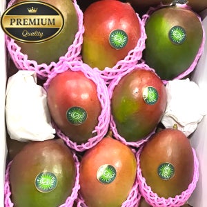 [백화점납품] 프리미엄 애플망고 고당도 항공직송 과일선물세트