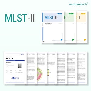 MLST-2 학습전략검사 자기주도학습 온라인 심리검사