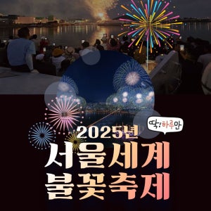 서울 여의도 한강 세계불꽃축제25 관람 명당자리 마포대교앞 요트형 유람선 티켓, 단 하루