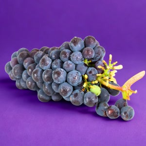 송산포도 캠벨 머루 거봉 포도 1kg 2kg 3kg