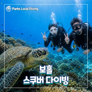 필리핀 보홀 스킨 스쿠버 체험 보트 다이빙3회 알로나비치 나팔링 포함 스노쿨링 40분