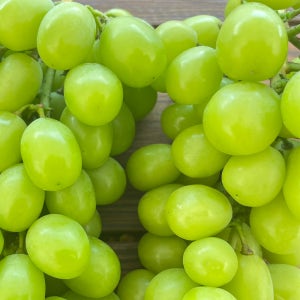 당일수확 샤인머스캣 수출용등급 2kg/4Kg
