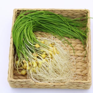 산나물 생 달래 국산 당일수확 200g 500g 겨울 제철나물