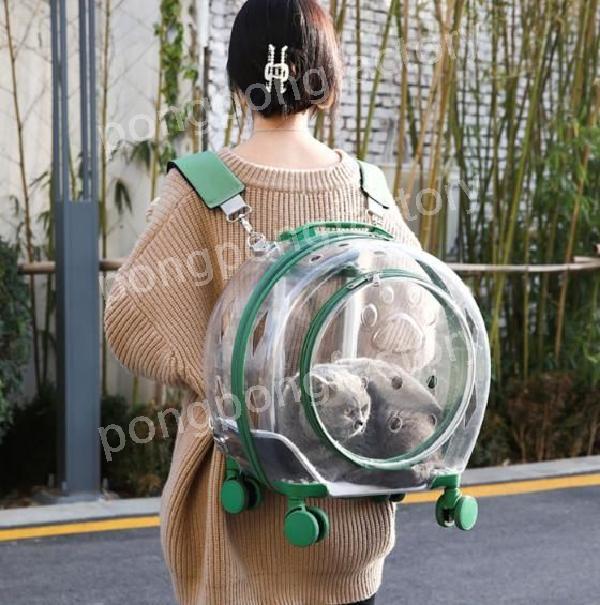 몬스터 고양이 캐리어 (Monster Cat Carrier)