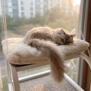 캣티오 미니 고양이해먹 창문 선반 테라스 고양이캐노피 창틀 캣타워 무타공 창문 고리