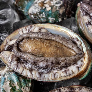 킹콩농수산 청년어부송원정 진도 활전복 산소포장 완도전복 산지직송 선물세트 1kg