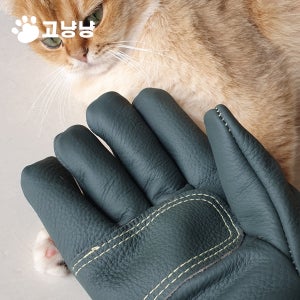 2세대 강아지 고양이 특수 훈련 입질 장갑 물림방지 손보호 목욕 미용 CL핸들링