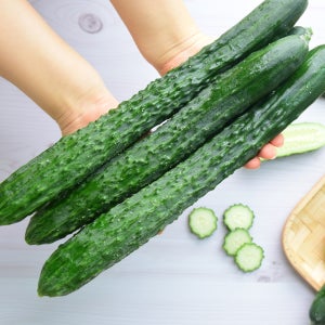 부부푸드 가시오이 10kg 대용량 업소용 식자재 못난이 일반