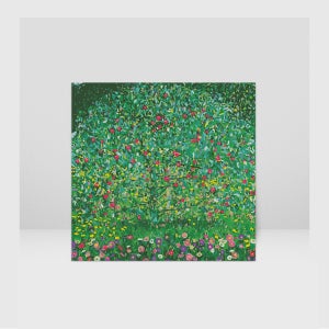 구스타브 클림트 사과나무 정방형 DIY 명화 유화 그림 그리기 세트 대형 62X62cm