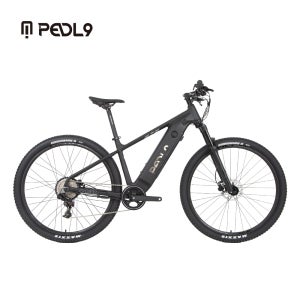 PEDL9 페들나인전기자전거 EVO300 SRAM NX11단 바팡 SPEED/POWER 자동변환모터 16A