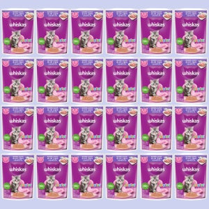 위스카스 고양이 습식 파우치 주니어 고등어, 80g, 24개