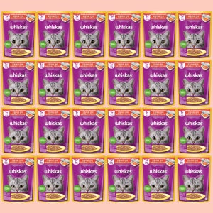 위스카스 고양이 습식 파우치 고등어+연어, 80g, 24개