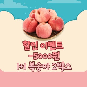 1+1 4kg 황도 복숭아 햇사레복숭아 감곡이레농원 명절선물 추석