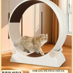 캣휠 운동기구 런닝머신 캣워커 스크레쳐 러닝머신 설치 정향화이트 장난감 포함 레이저펜 포함