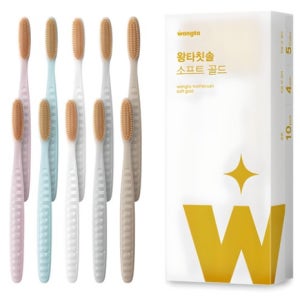 왕타 소프트골드 칫솔 10개입