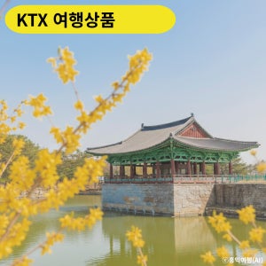KTX 경주 2박3일 경상도 국내기차여행