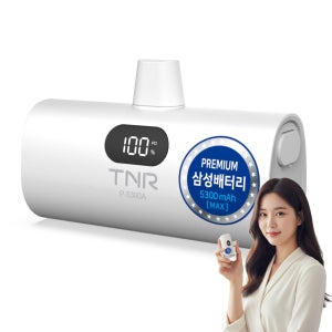 티앤알 삼성배터리셀 국내제조 고속충전 도킹형 보조배터리 P-5300A 5000mAh