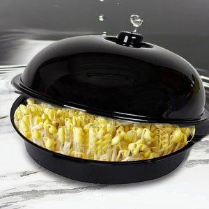 국산 가정용 콩나물 새싹 무순 식물 야채 셀프 재배기