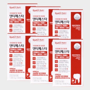 [6개월분] 덴티페스타 뼈 치아 건강 칼슘영양제 그린프로폴리스 잇몸 치약 검키퍼포뮬라 60정, 6개