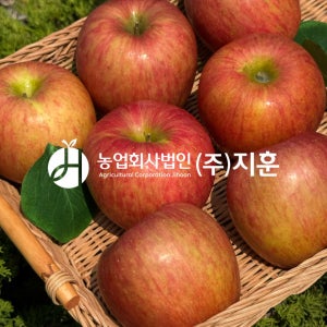 지훈이네 가정용 햇부사 사과 4kg
