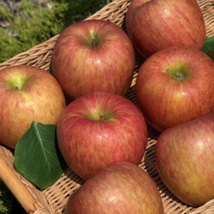 지훈이네 가정용 햇부사 사과 4kg