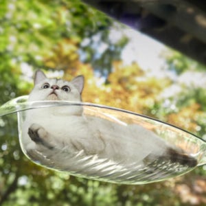 크레용펫 투명 아크릴 고양이 해먹