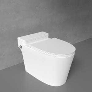 라우체 플로 원피스 양변기 LC-3500