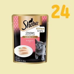 쉬바 파우치 고양이 습식 주니어 닭고기무스, 70g, 24개
