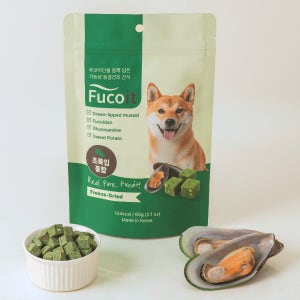 후코이단 동결건조 강아지 간식 후코잇 초록입홍합 관절 영양간식 트릿 60g