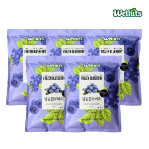 웰루츠 A등급 냉동 블루베리 1kg, 5개