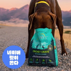 대형견 미국 강아지 곤충사료 지미니 귀뚜라미단백질 4.74kg by 왓더펫