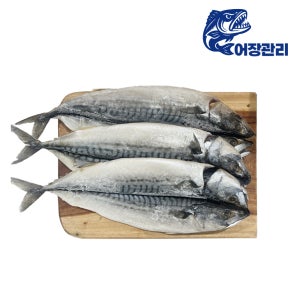 반건조 생선 1미 참가자미 고등어 열기 볼락 임연수 말린 건어물 제수용 캠핑