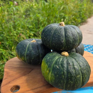 평창 고랭지 미니단호박 2KG,5KG,10KG