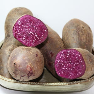 해남 자색고구마 5kg