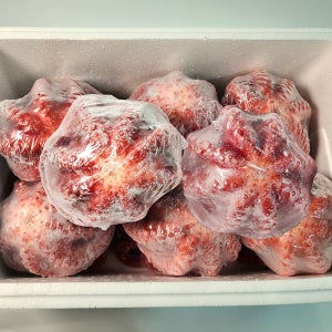 자숙문어 10kg 업소용 10미 큰사이즈 삶은문어 숙회 필리핀 냉동 도매