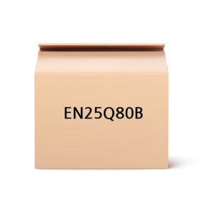Eon Silicon 메모리 칩 EN25Q80B