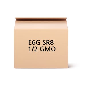 BRAHMA 솔레노이드 밸브 E6G SR8 1/2 GMO