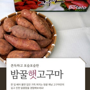 해남 자연의 단맛, 밤꿀햇고구마 특+상 5kg