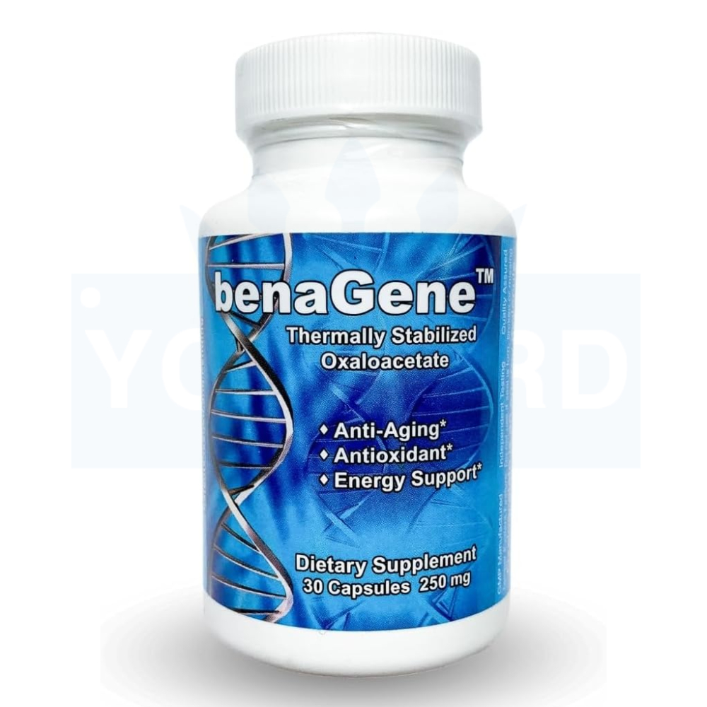 <b>베나진</b> 옥살로아세테이트 미토콘드리아 비타민C 미국 내수용 30캡슐