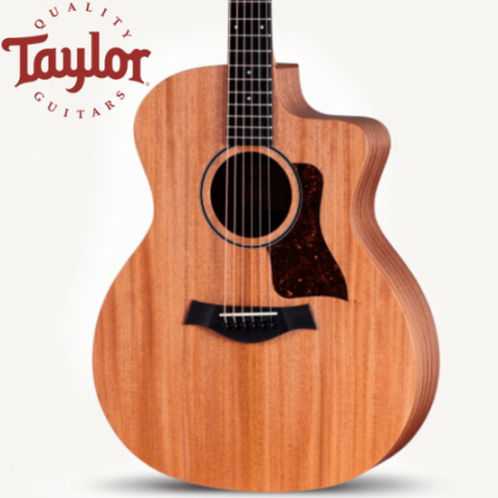 Taylor 테일러 24ce 신제품 마호가니 상판 피쉬맨 픽업 장착
