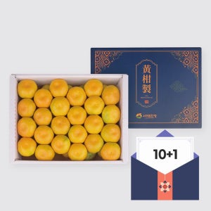 [10+1] 제주 여름제철 하우스감귤 추석 선물용 3kg 5kg