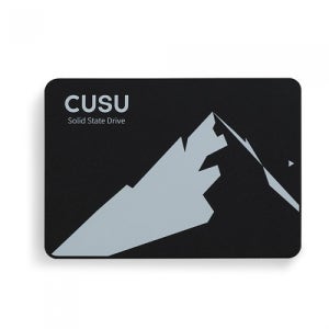 TWSC CUSU C300 (1TB)