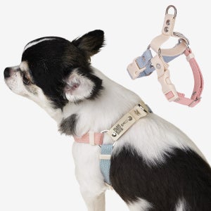 마틴게일 Y형 강아지 인식표 하네스 이름표 가슴줄