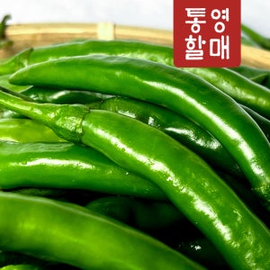 통영할매 고추 국산 반홍 매운 땡초 청양고추 10kg