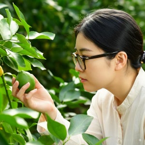 제주레몬 국내산 무농약 유기농 청레몬